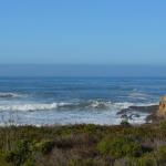 CambriaCN_0074 (November 05, 2016)